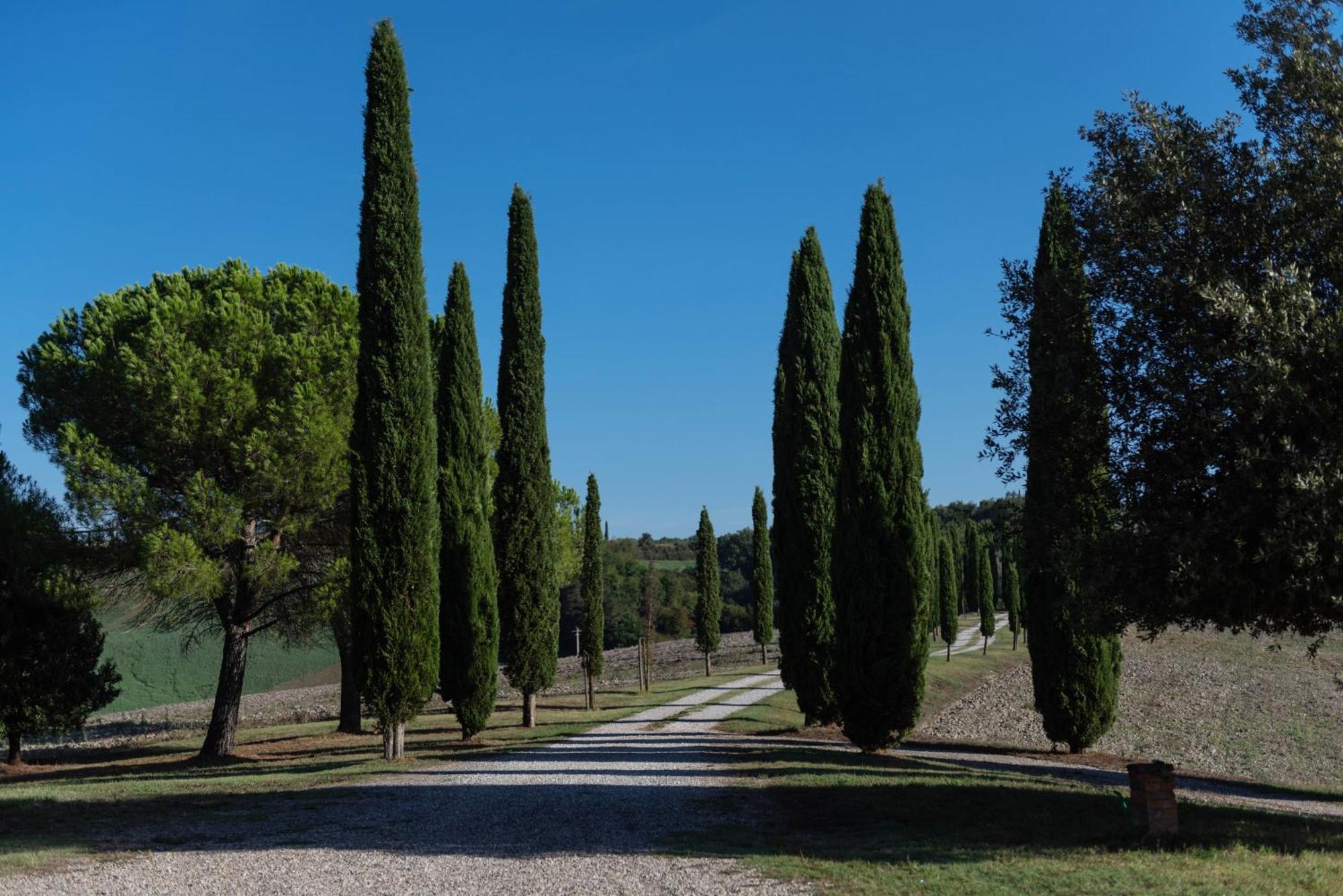 Villa Cucule Siena Esterno foto